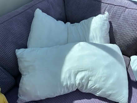 Photo of free Super King bamboo pillows (Whyteleafe, CR3) #1