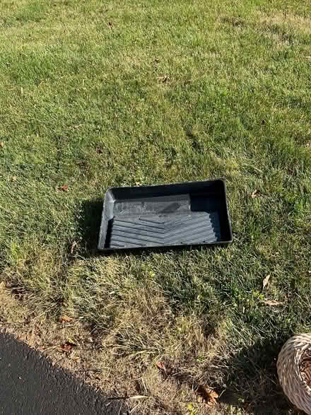 Photo of free Paint tray (Maynard) #1