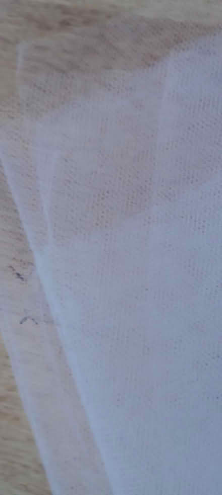 Photo of free White net fabric (TN34 - top of Elphinstone Road) #2
