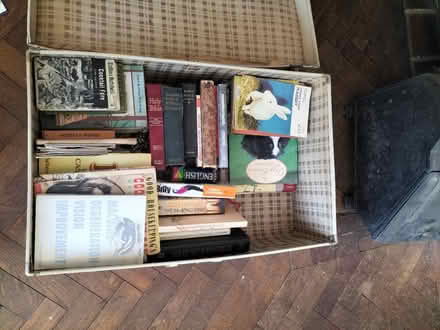 Photo of free Books (Stone Cross BN24) #1