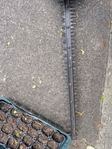 Photo of free Bosch corded hedge trimmer (Udny Station AB41) #2