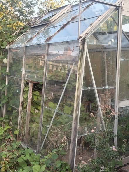 Photo of free Green House (Eastfield PE1) #3