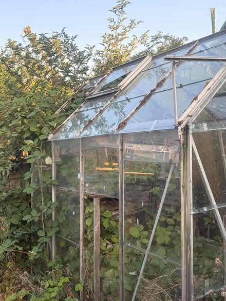 Photo of free Green House (Eastfield PE1) #4