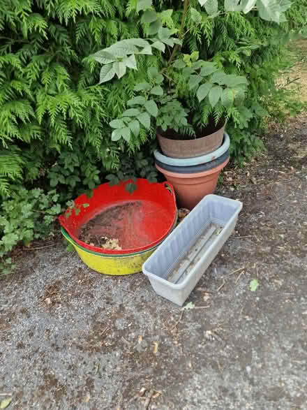 Photo of free Plastic pots (Borough Green TN15) #1