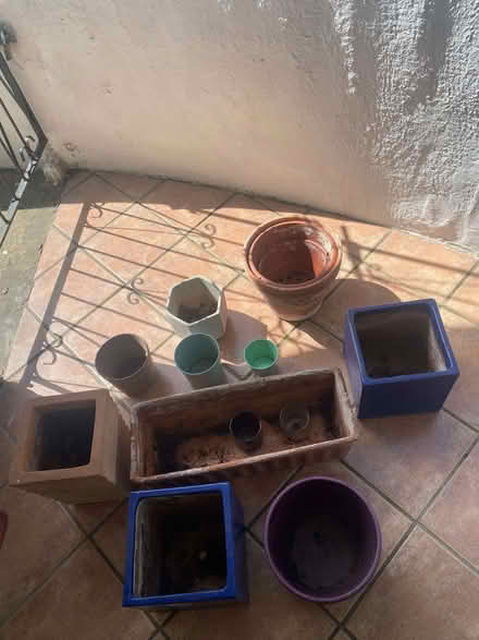 Photo of free Range of plant pots (Balham SW17) #1
