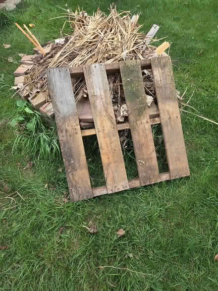 Photo of free 3 wood pallets (Elmhurst near Berens Park) #1