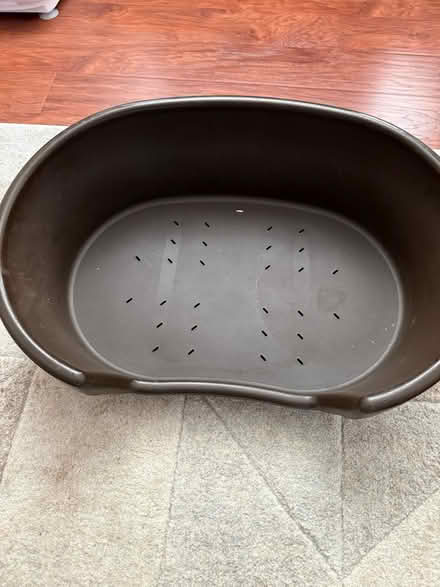 Photo of free dog bed (Wickford SS11) #1