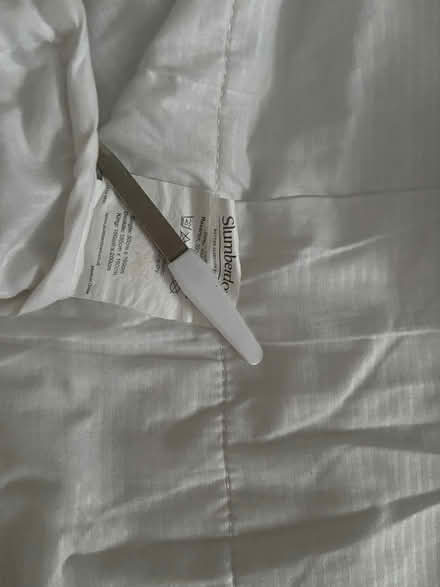 Photo of free Mattress protector/topper (Coleridge Ward CB1) #2