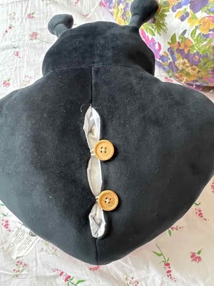 Photo of free Ladybug cuddle Warmer (Ashford TW15) #2
