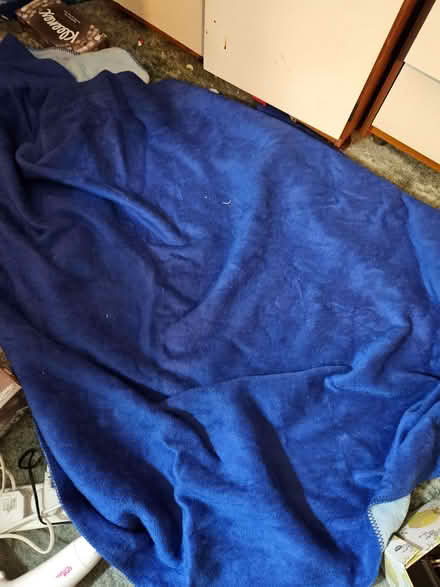Photo of free 4 Blankets, 3 fleece and 1 acrylic (Loughborough LE11) #1