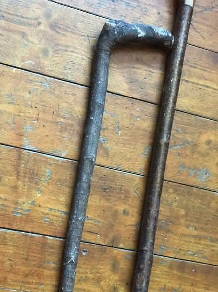 Photo of free Wooden walking sticks (Gracemount EH17) #1