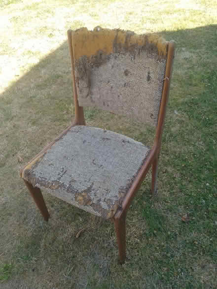 Photo of free Reupholstering project chairs (Poppleton York) #2