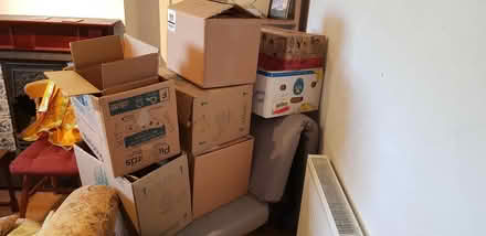 Photo of free 8+ strong boxes house moving (Bowbridge GL5) #1