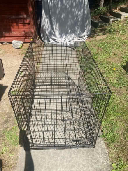 Photo of free Dog cage (Charlestown of Aberlour AB38) #1