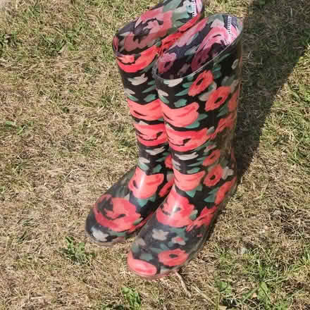 Photo of free Ladies wellington boots, size 4, 37 (Grange Farm IP5) #1