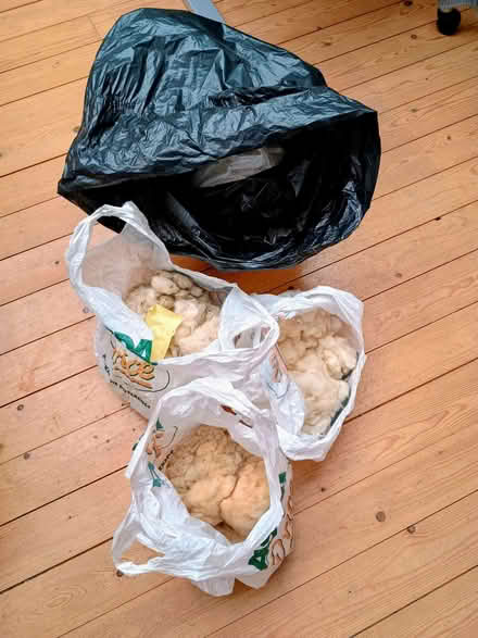 Photo of free Wool, ready for carding (Nailsea BS21) #1
