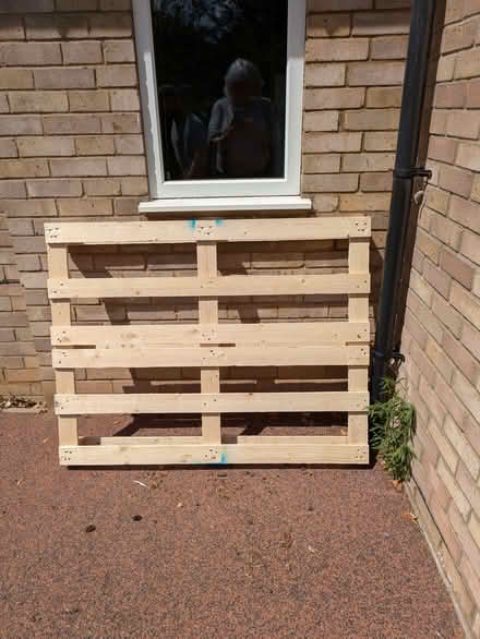 Photo of free Pallet (Brundall NR13) #1