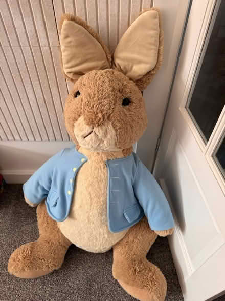 Photo of free Giant Beatrix Potter Peter Rabbit (NE5 Cowgate) #1