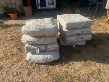 Photo of free garden chair cushions (Linton CB21) #1