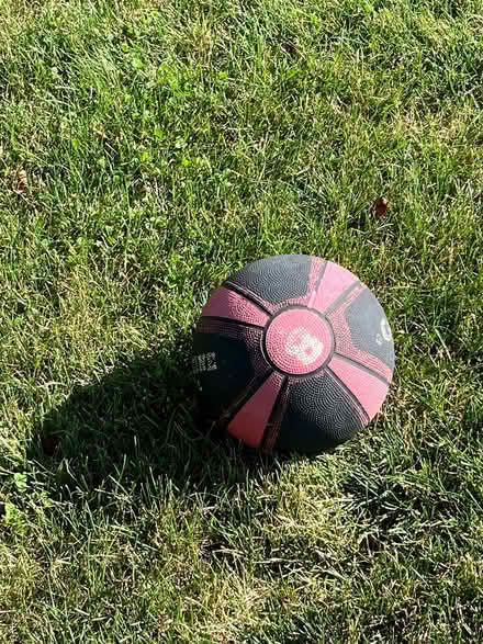 Photo of free Medicine ball (Maynard) #1
