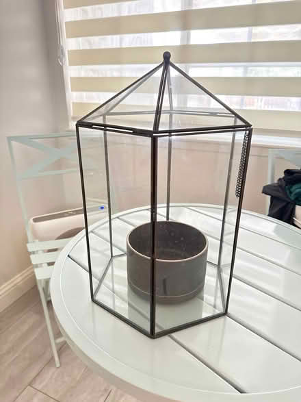 Photo of free Terrarium for plants plus pot (Pollard Rd & More Ave) #1