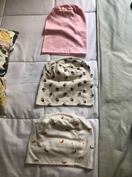 Photo of free Adult Head wraps / beanies (Wakefield Ma) #1