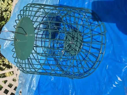 Photo of free Bird feeders (Wokingham south RG40) #2