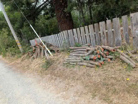Photo of free Redwood limbs (Trinidad) #1