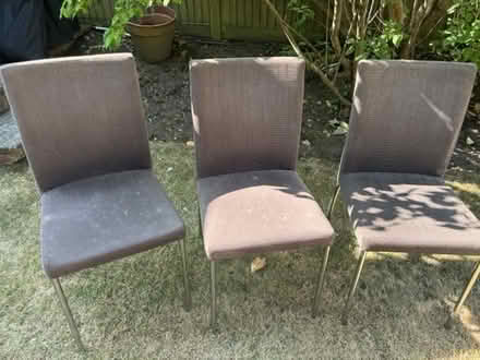 Photo of free 8 John Lewis dining chairs (Finchley N3) #1