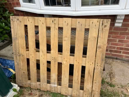 Photo of free Wooden pallets (Jersey Farm AL4) #2
