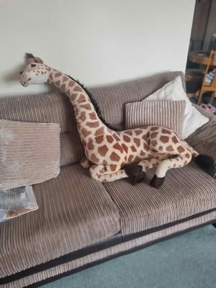 Photo of free Large cuddly giraffe (Ramsgate CT11) #1