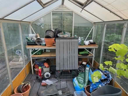 Photo of free Greenhouse (Havant PO9) #1
