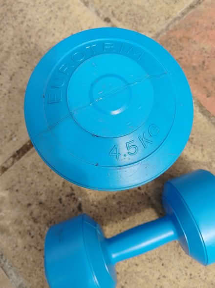 Photo of free Blue Dumbbells 4.5k weight (Bexhill TN39) #3