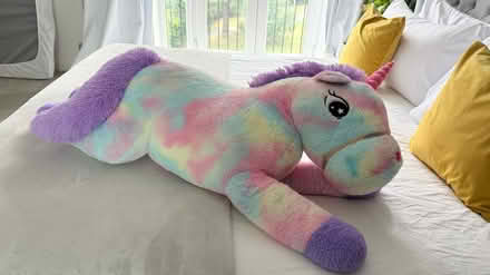 Photo of free Large kids unicorn plush teddy (Kingswood KT20) #1