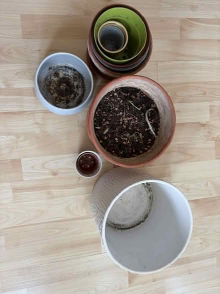 Photo of free Plant pots (SW10) #3