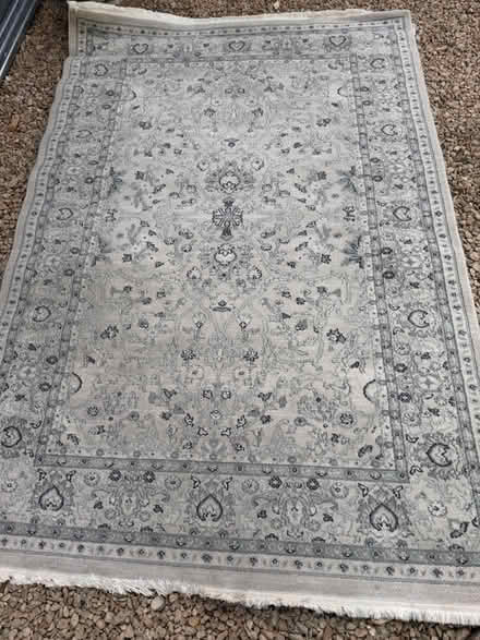 Photo of free Large rug (Cheltenham) #1