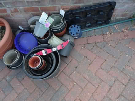 Photo of free Collection of plant pots as shown (Creekmoor BH17) #1