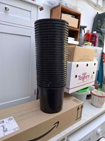 Photo of free 30 Black 2l pots new and unused (St Helens TN34) #1