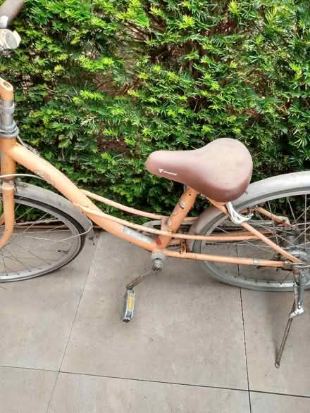 Photo of free Bike (Manor Park KT19) #2
