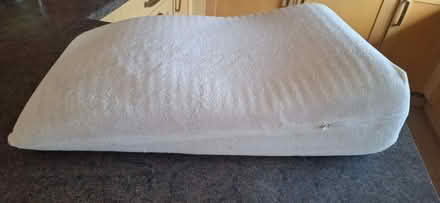 Photo of free Foam leg rest (Tiptree CO5) #1