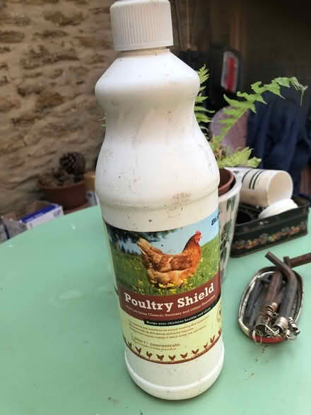 Photo of free 1ltr poultry shield disinfectant (Corsham SN13) #1