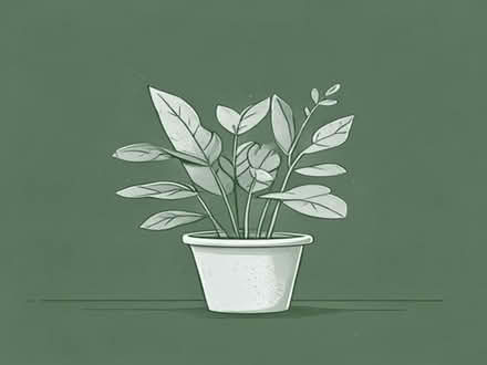 Photo of Plastic or other plant pots all sizes welcome (Stourport on Severn DY13) #1