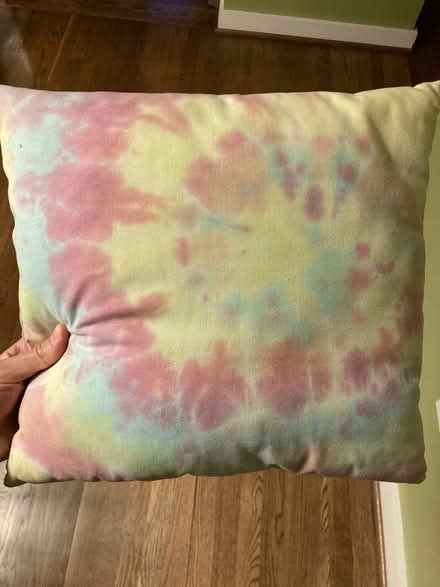 Photo of free Throw pillow (near Fort Totten metro) #2