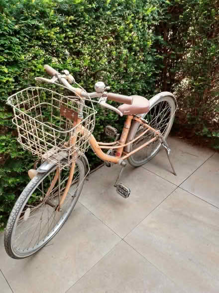 Photo of free Bike (noble park epsom surrey KT19) #1