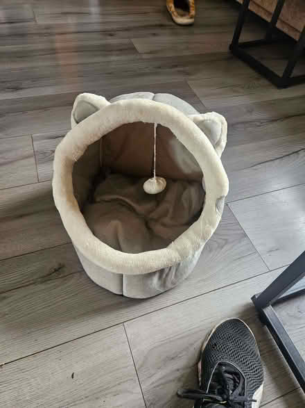 Photo of free Cat bed (Marsh LA1) #1