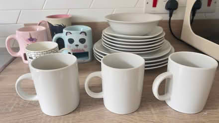 Photo of free Plates/cups (TN27, Headcorn) #3