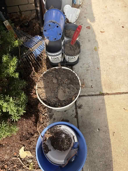 Photo of free Plastic Planting pots & dirt (S. Evergreen St. at Linden St) #2