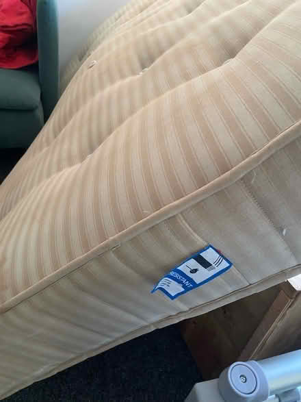 Photo of free Double Mattress (Saint Marychurch TQ1) #2