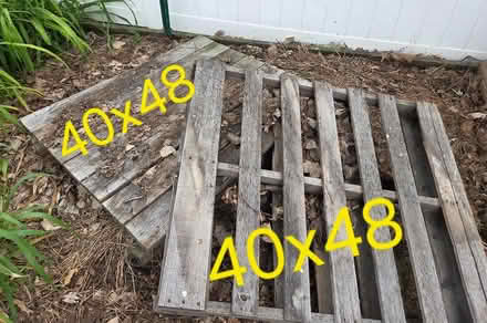 Photo of free 3 wood pallets (Elmhurst near Berens Park) #1