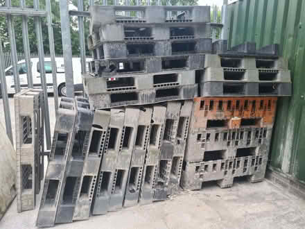 Photo of free Plastic pallets. (Red Scar PR2) #2